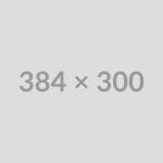 Freelancer Days 2024, What’s new?